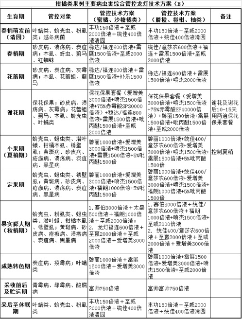 新澳天天免费精准资料大全，定量解答解释落实_fh50.36.31